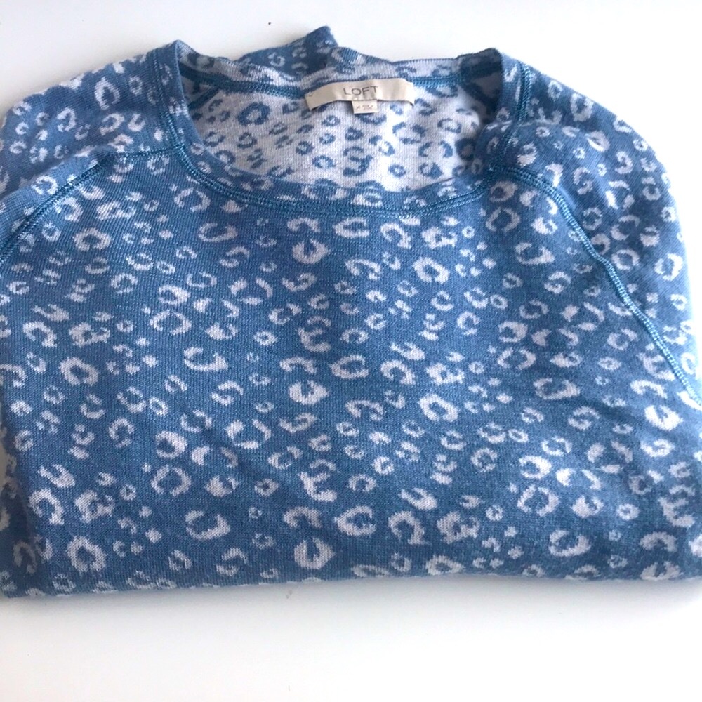Loft sweater